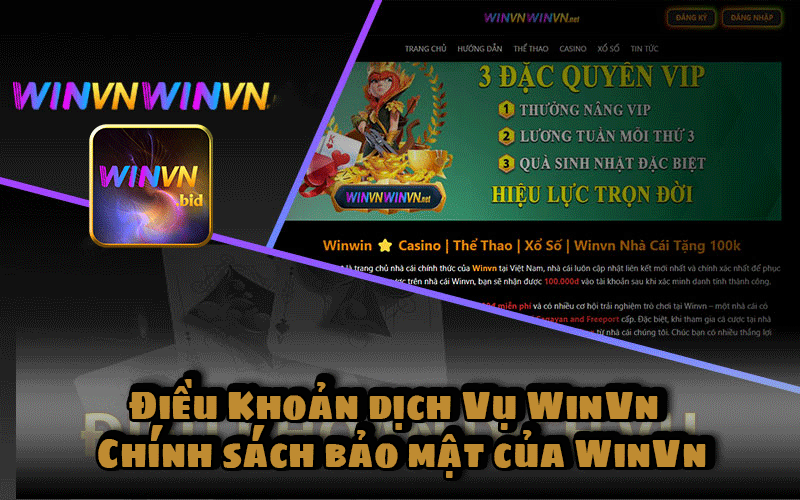 Điều Khoản Dịch Vụ WinVn - Chính Sách Bảo Mật WinVn