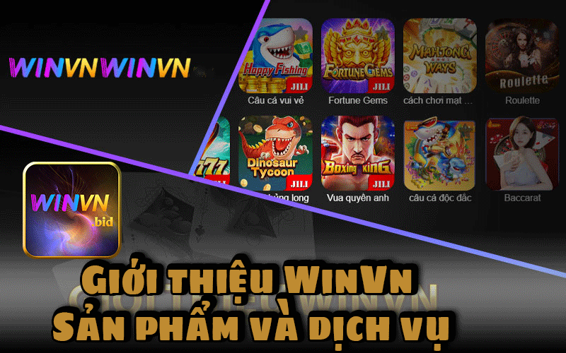 Giới Thiệu WinVn - Sản Phẩm & Dịch Vụ