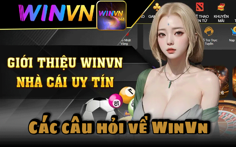 Các Câu Hỏi Về WinVn